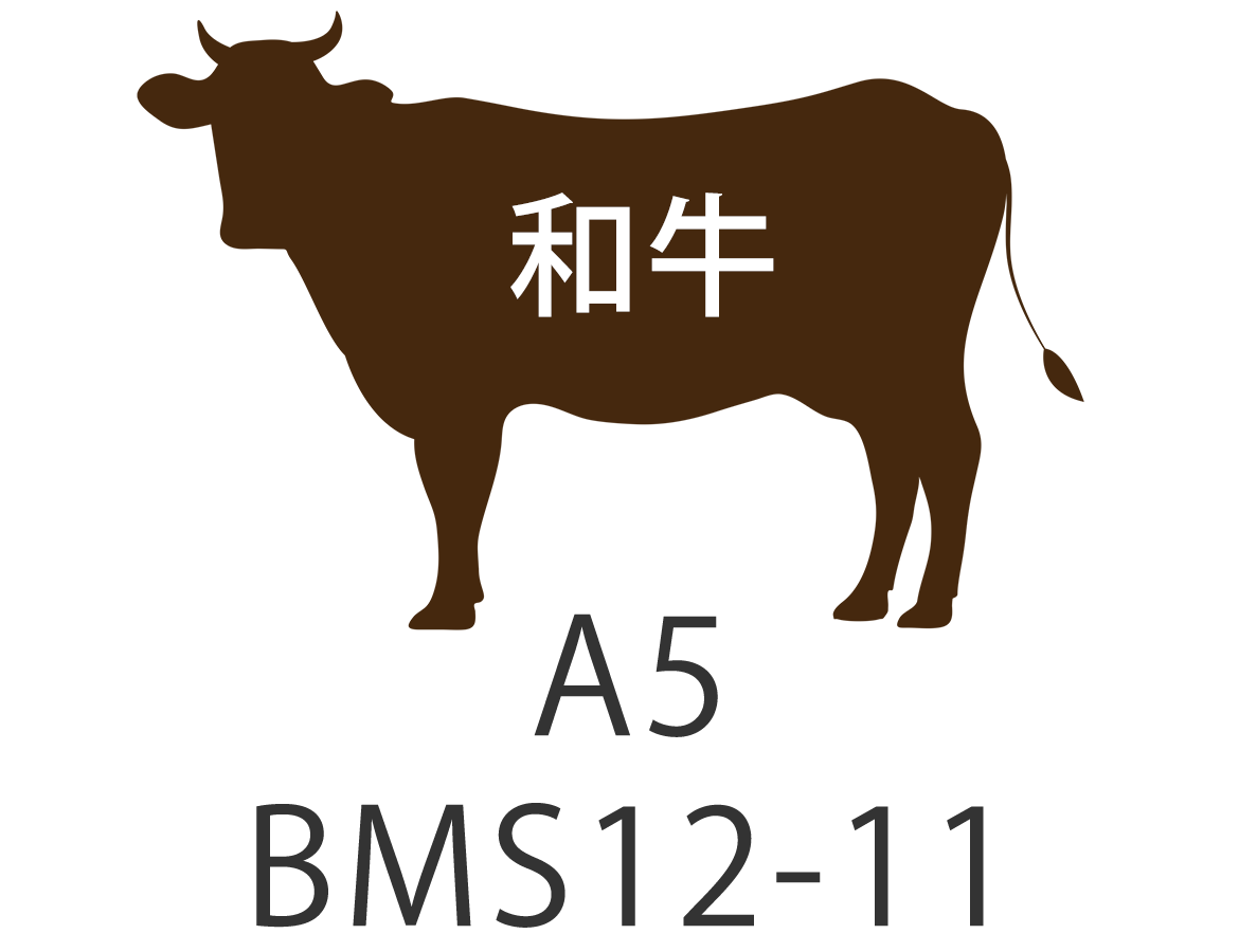 A5 BMS12-11