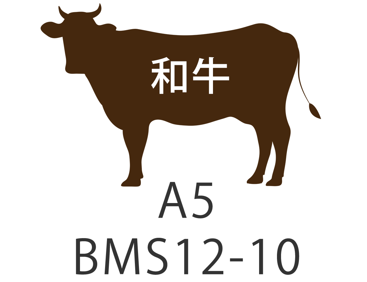 A5 BMS12-10