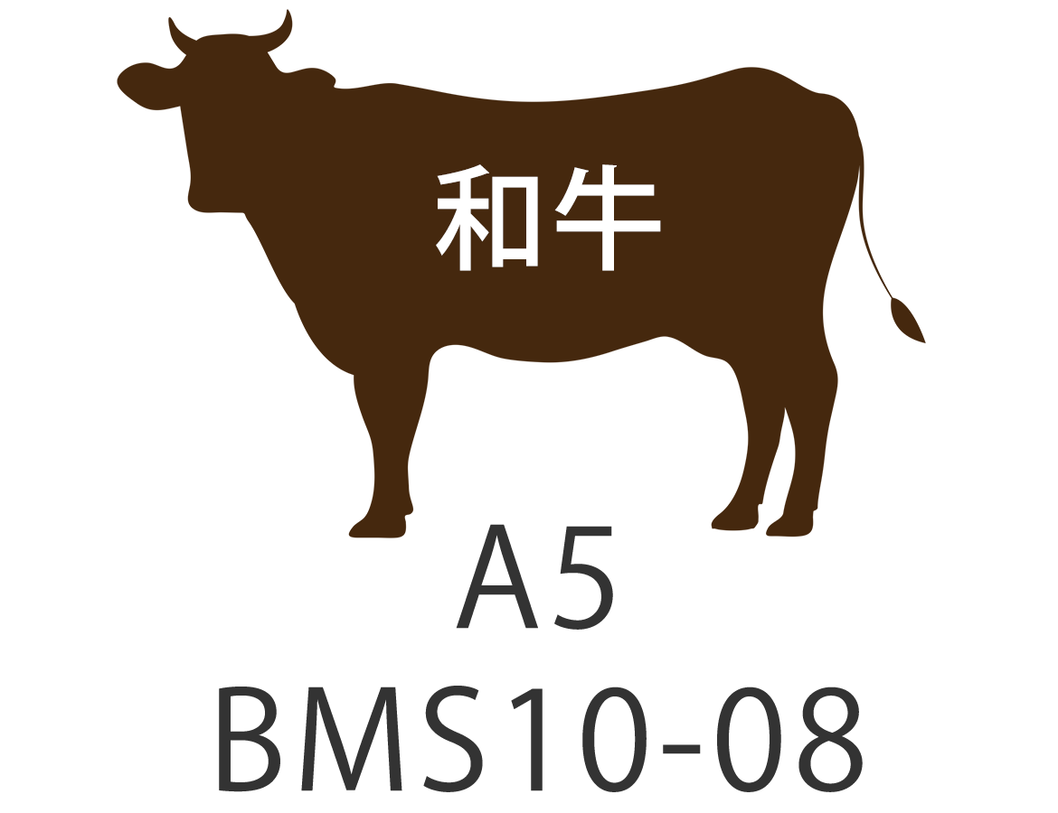 A5 BMS10-08